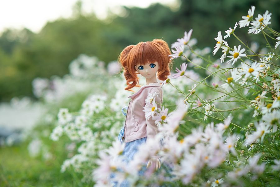 2019년 인형출사 연말정산 (스압주의)_46.png