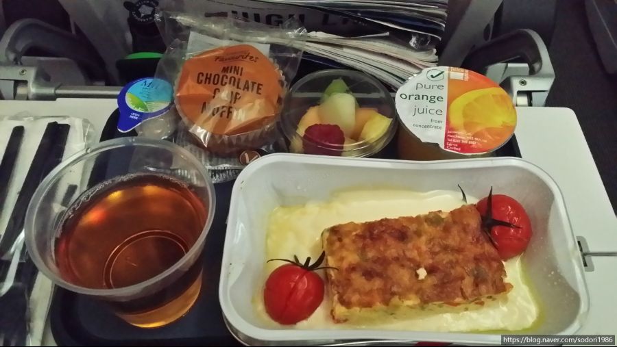 (스압/56장)이과수폭포와 부에노스아이레스에 갔다왔습니다(2019년 12월말)_55.jpg