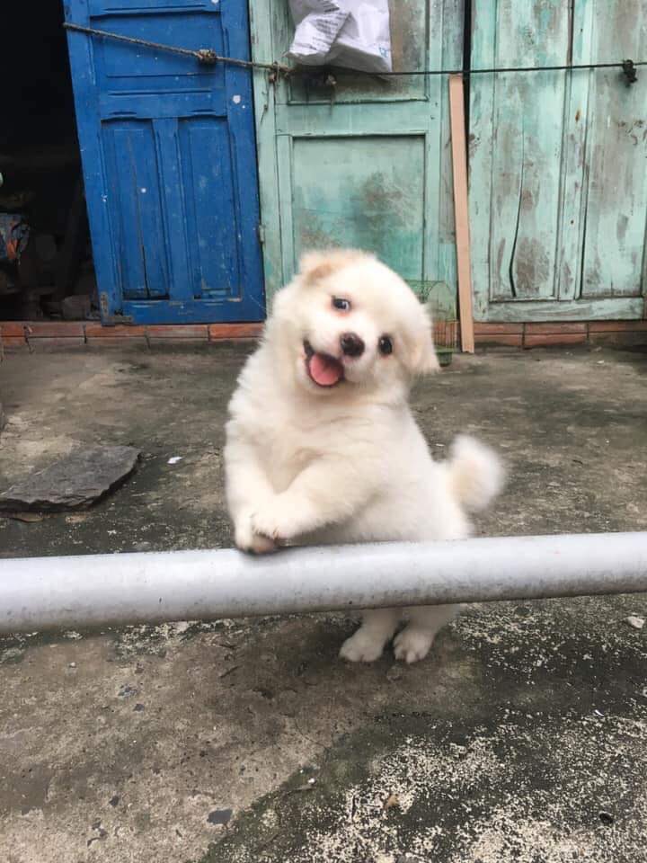 데드스페이스는 1편이 갓갓인듯_1.jpg