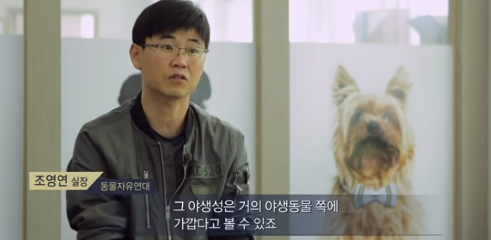 (빡침주의) 북한산 인근에 들개들이 불어났던 이유._5.png