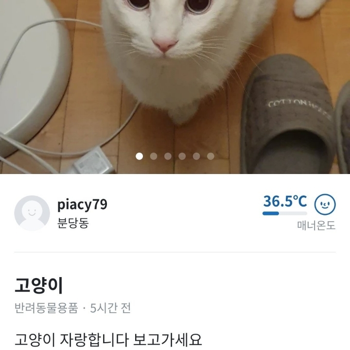 당근마켓에 올라온 고양이 ㄷㄷㄷ_2.jpg