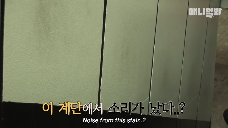 Screenshot_2020-01-24 벽 속에서 2년 만에 꺼낸 고양이 (치고는 통통한데 )ㅣ Cat Living Inside An Enclosed Wall With No Exit For 2 Years (32).png