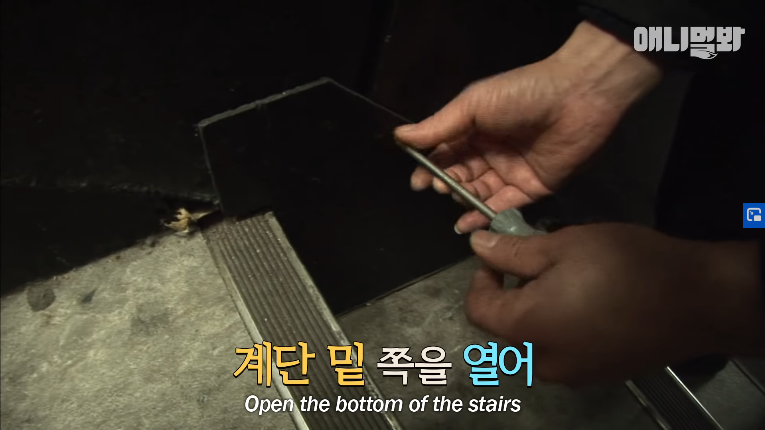 Screenshot_2020-01-24 벽 속에서 2년 만에 꺼낸 고양이 (치고는 통통한데 )ㅣ Cat Living Inside An Enclosed Wall With No Exit For 2 Years (4).png