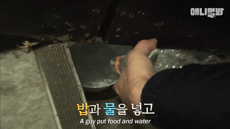 Screenshot_2020-01-24 벽 속에서 2년 만에 꺼낸 고양이 (치고는 통통한데 )ㅣ Cat Living Inside An Enclosed Wall With No Exit For 2 Years (5).png