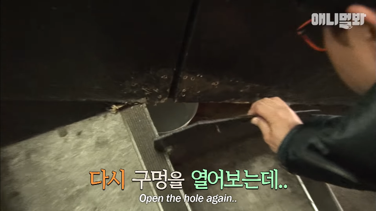 Screenshot_2020-01-24 벽 속에서 2년 만에 꺼낸 고양이 (치고는 통통한데 )ㅣ Cat Living Inside An Enclosed Wall With No Exit For 2 Years (9).png