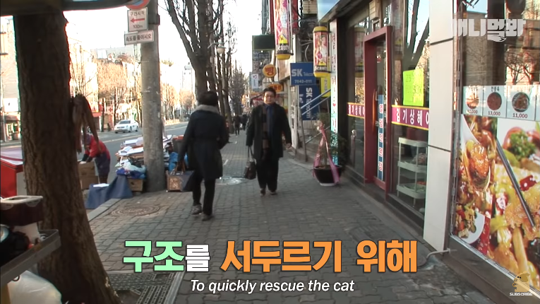 Screenshot_2020-01-24 벽 속에서 2년 만에 꺼낸 고양이 (치고는 통통한데 )ㅣ Cat Living Inside An Enclosed Wall With No Exit For 2 Years (18).png