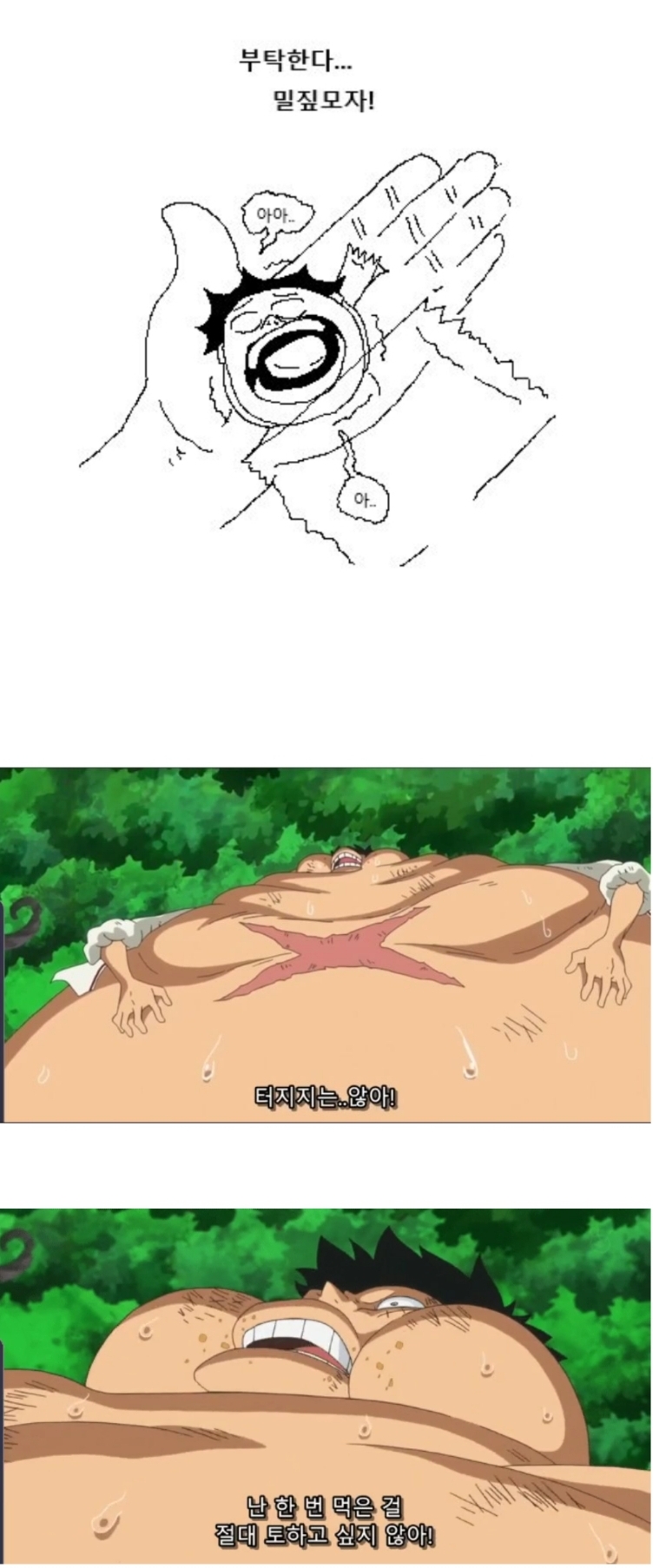 원피스)부탁한다... 밀짚모자!_1.jpg