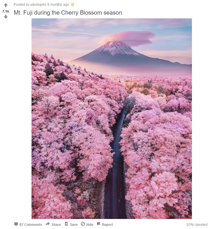 Screenshot_2020-01-30 r pics - Mt Fuji during the Cherry Blossom season.png