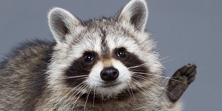 아가씨) 듀얼리스트는 싸이크론으로 거울의 힘을 자꾸 무효할려고 해 65_2.jpeg