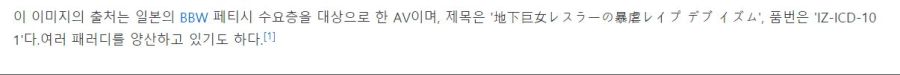 어둠의 메갈리안 짤에 대한 쓸모있는 정보feat.나무위키_2.jpg