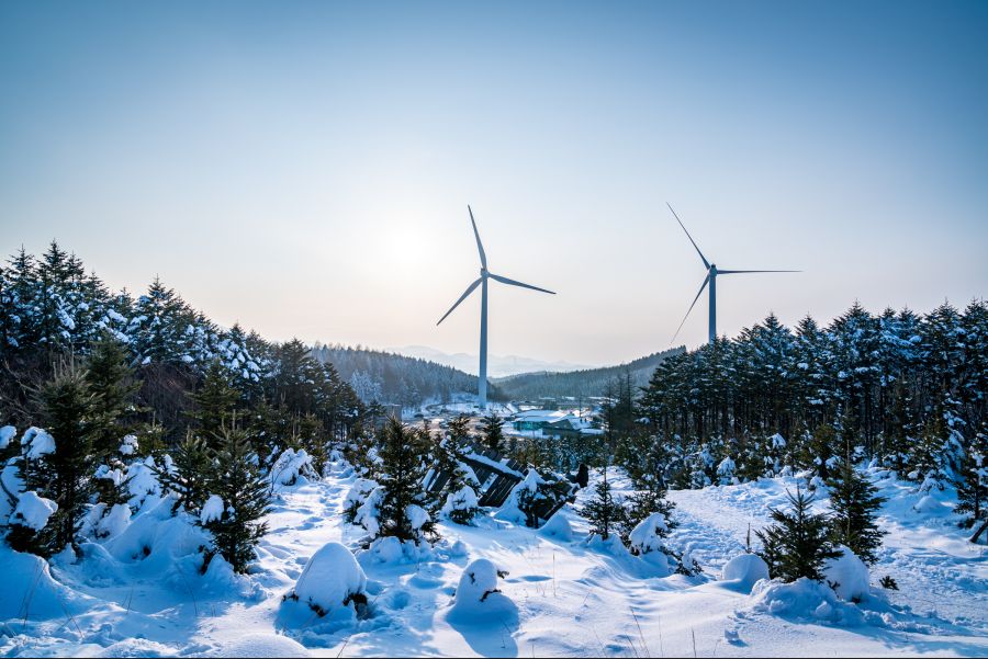 검은머리가 어울리는 MDD + 강원도 여행_28.jpg