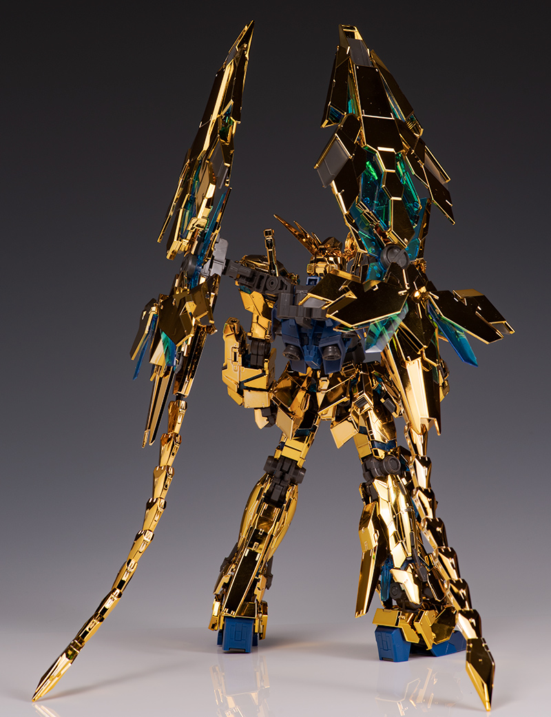 rg_phenex011.jpg