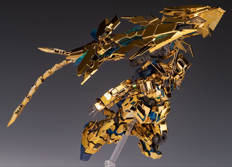 rg_phenex063.jpg