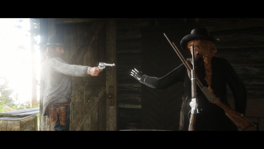 Red Dead Redemption 2_20181128194916.png