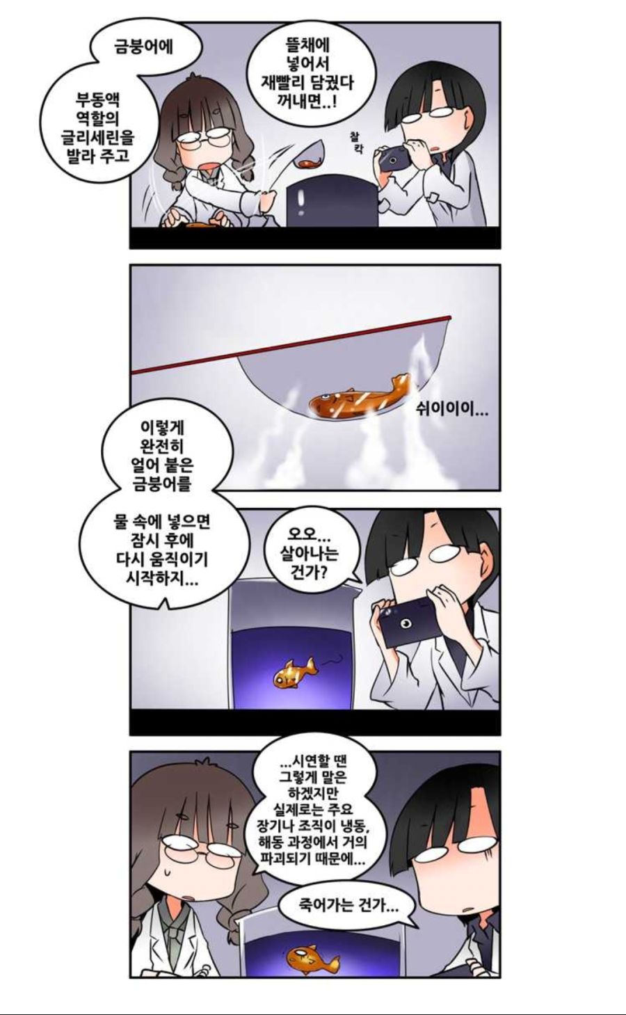 급속 냉각 후 부활하는 금붕어의 진실.jpg_1.jpg