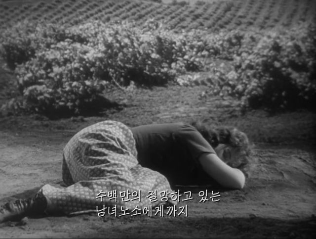 국뽕으로 얼룩진 닥터후 내한 참사.youtube_27.jpg