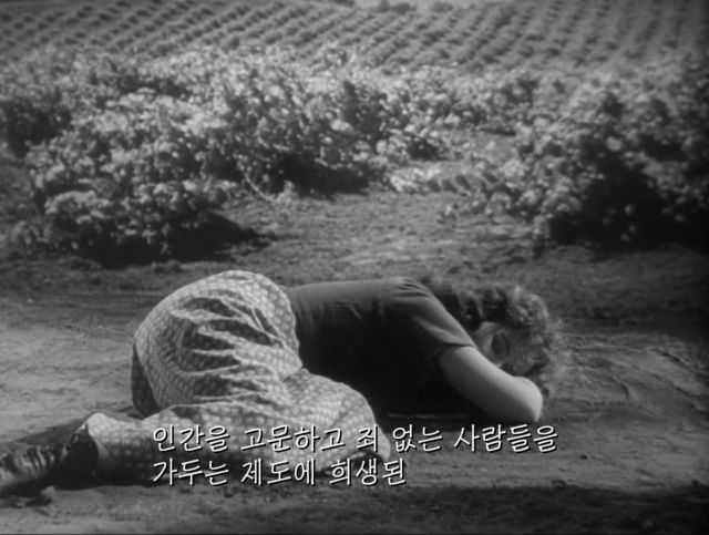 국뽕으로 얼룩진 닥터후 내한 참사.youtube_26.jpg