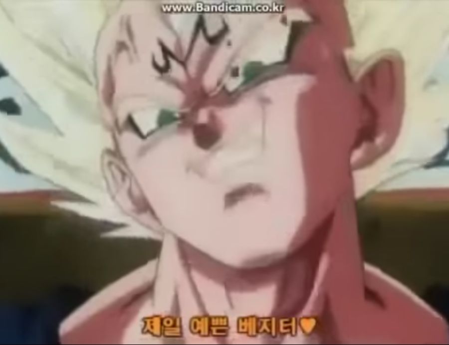 드래곤볼 성우들도 안다는 밈 유머 게시판 루리웹