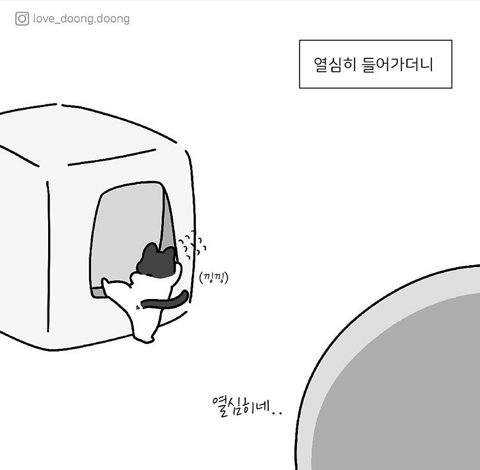 엄마 화장실이 궁금했던 아기고양이.manhwa_5.jpeg
