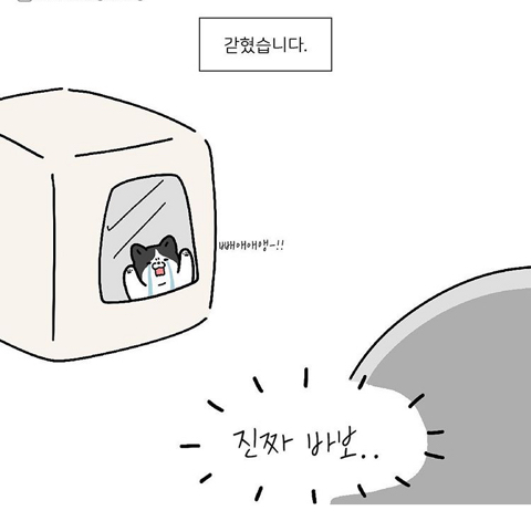 엄마 화장실이 궁금했던 아기고양이.manhwa_6.jpeg