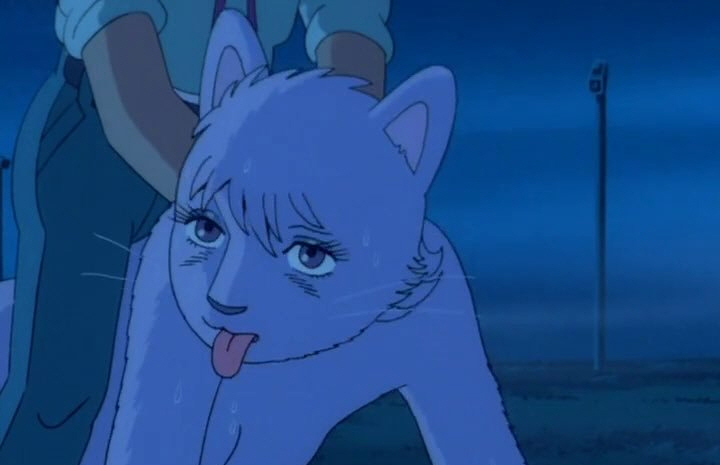 흔한 냥줍하는.manhwa_2.jpg