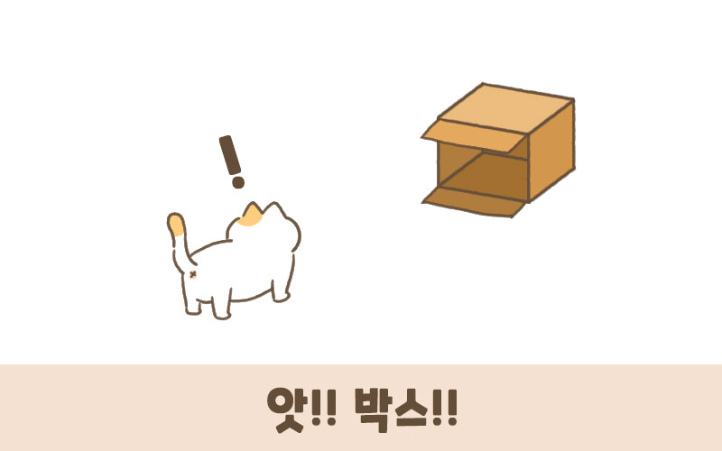 고양이박스-어서와 고양아! 출시했습니다!_1.jpg