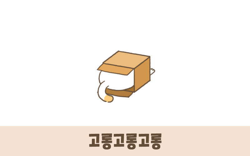 고양이박스-어서와 고양아! 출시했습니다!_2.jpg