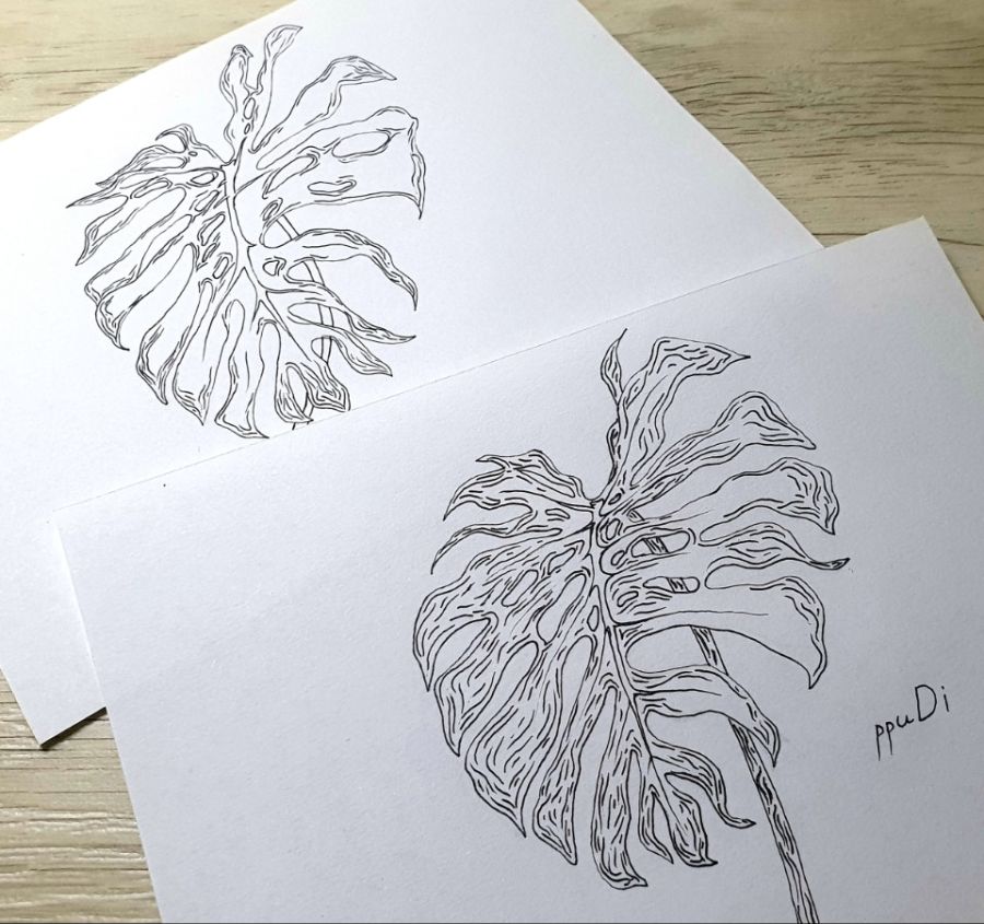 흔하게 보이는 식물을 그려봤어요._1.jpg