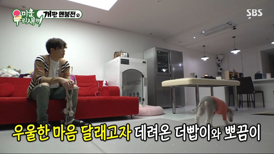 미운 우리 새끼.E182.200322.1080p-NEXT.mp4_20200326_132911.470.png