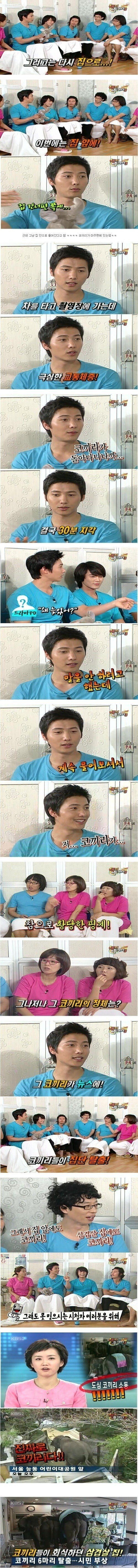 코끼리때문에 늦었다니까요_2.jpeg