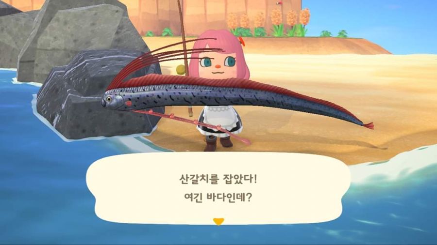 청새치랑 산갈치, 다랑어 잡았어요!_3.jpg