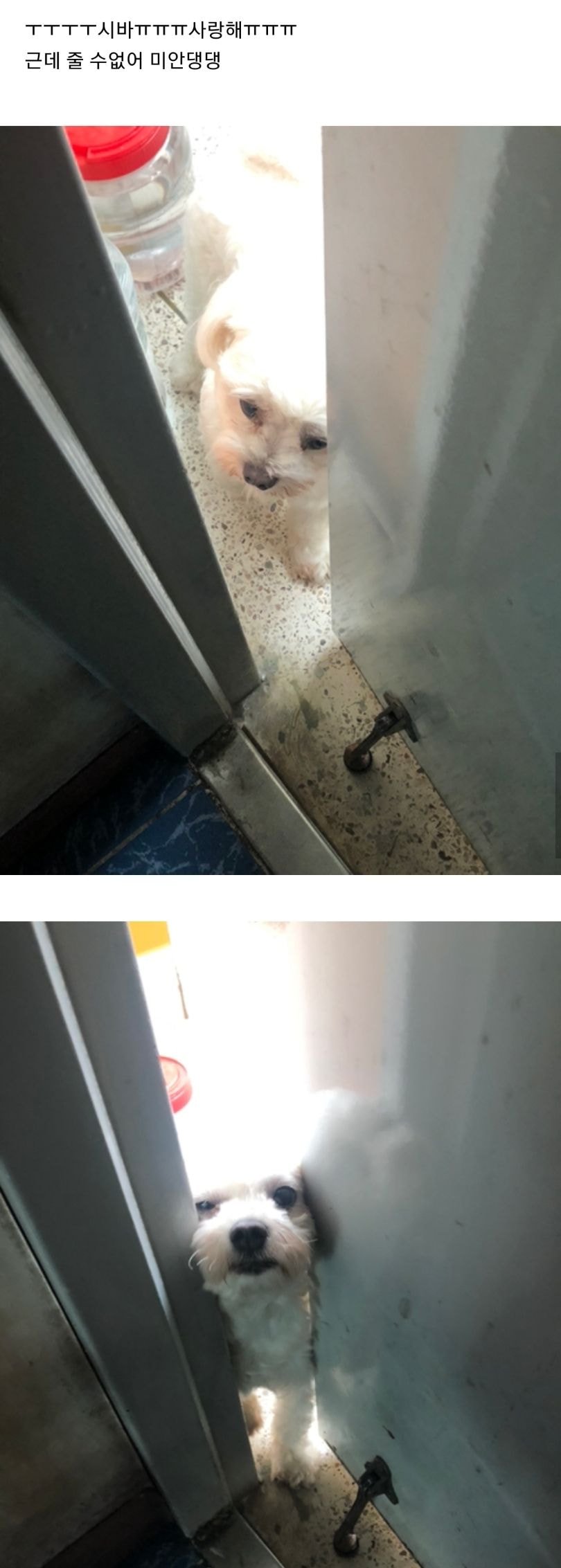 제사하는데 손님이 찾아옴.JPG_1.jpg