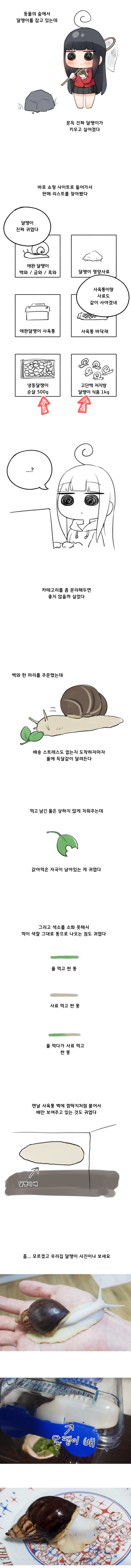 달팽이_700.png