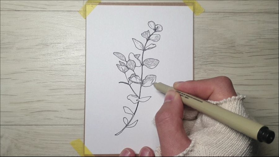 유칼립투스를 그려봤습니다._4.jpg