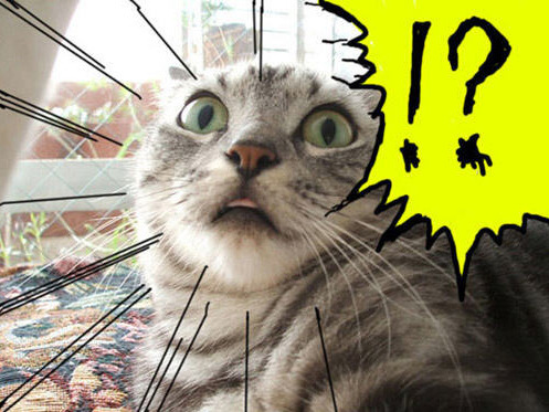 놀란 표정 짤 3개 중에 뭐가 가장 낫냐?_2.jpg