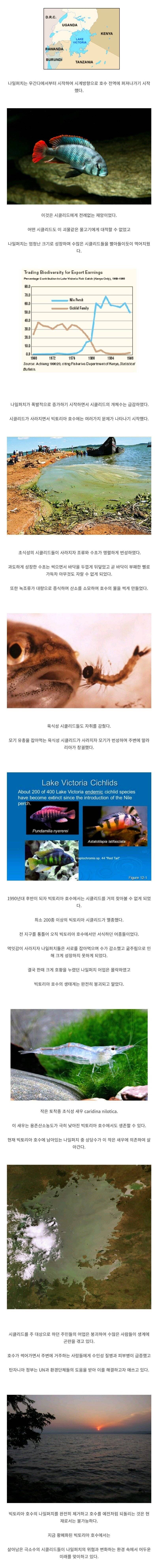 아프리카 빅토리아 호수를 완전히 망쳐버린 영국.JPG_2.jpg