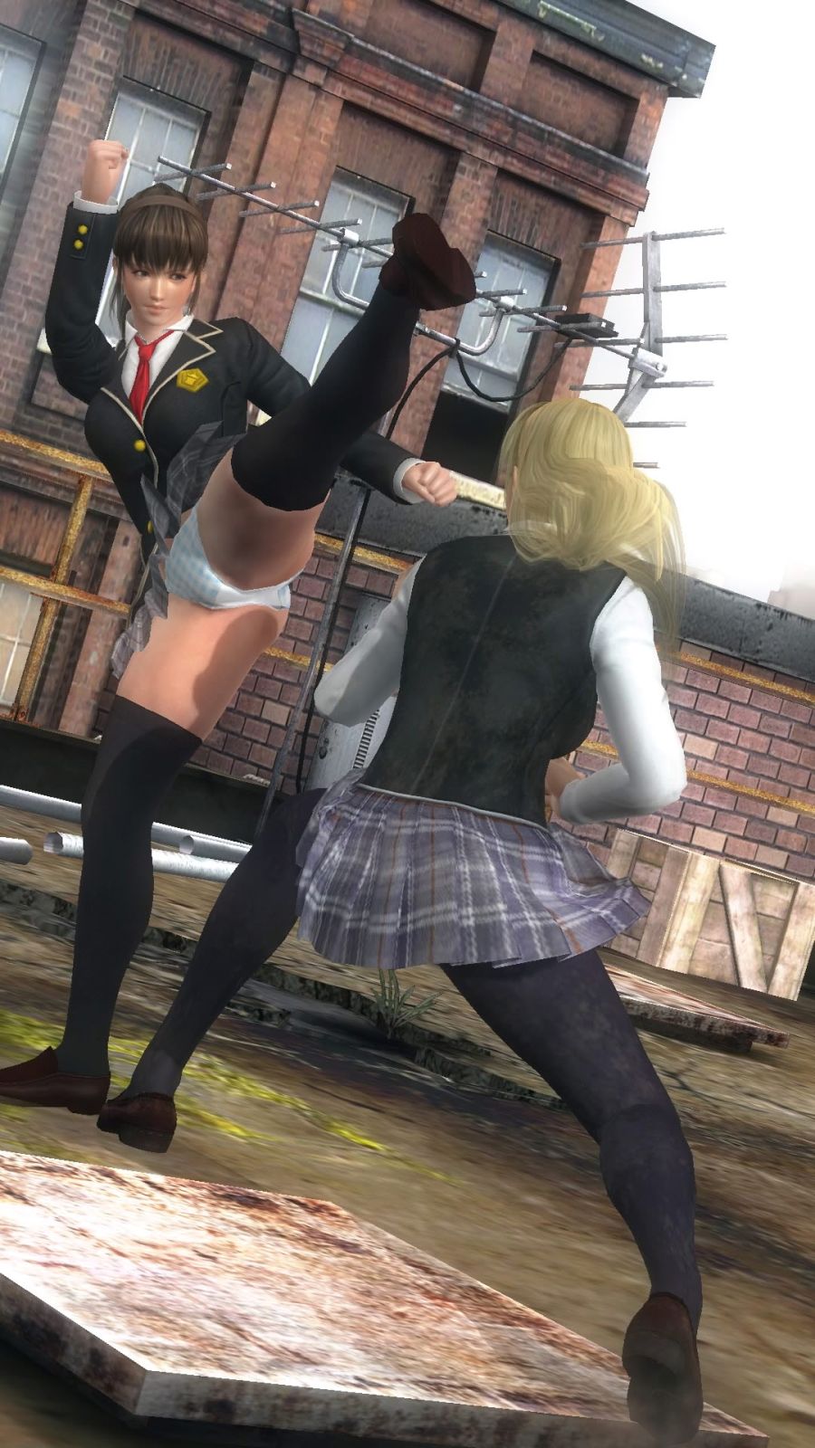 DEAD OR ALIVE 5 Last Round_20200412095734.jpg