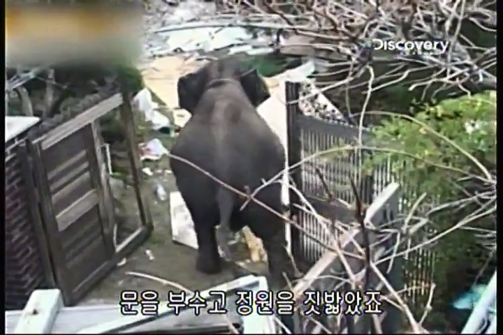 파괴의 찰나(31회).mp4_20200415_233607.064.jpg