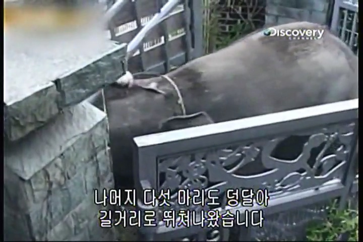 파괴의 찰나(31회).mp4_20200415_233610.208.jpg