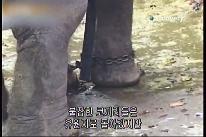 파괴의 찰나(31회).mp4_20200415_233635.551.jpg