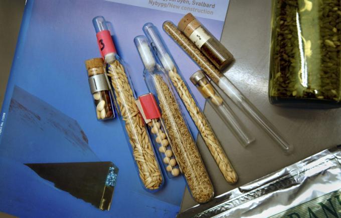 인류종말을 대비한 종자 보관소.jpg_11.jpg