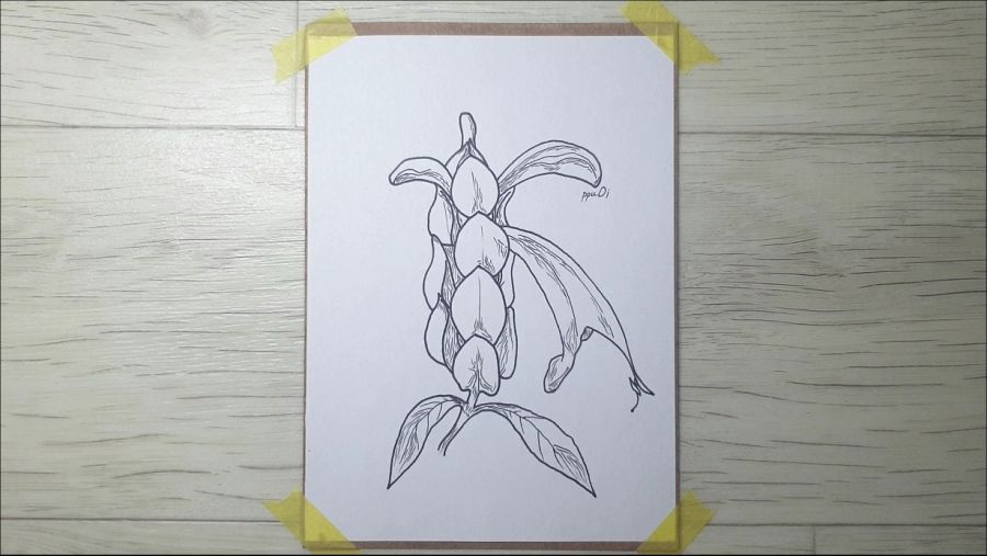 금새우꽃을 그려봤습니다._5.jpg