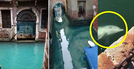 고질라]선지자는 이해받지 못한다_4.jpg