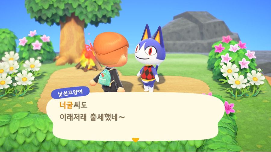 근로자 섬의 낯선고양이는 누군가요 ?_1.jpg
