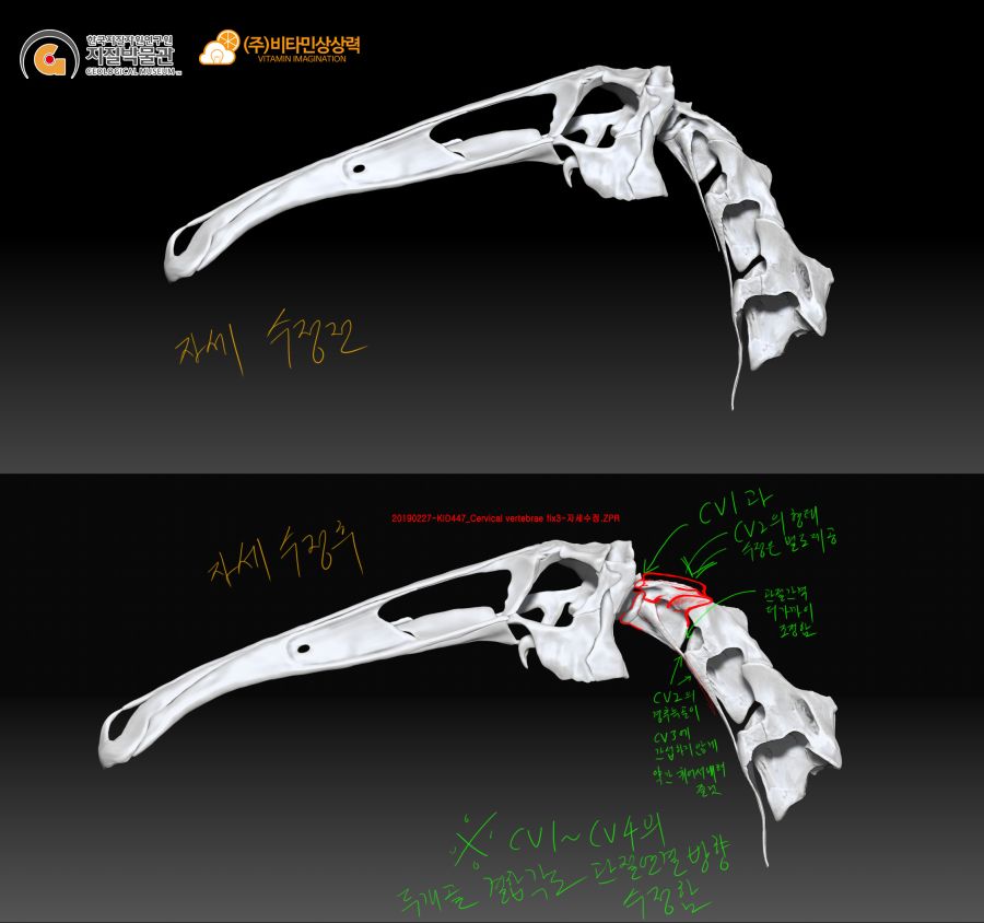 20190227-KID447_Cervical vertebrae fix3-CV1-4-Llat-수정사항.jpg