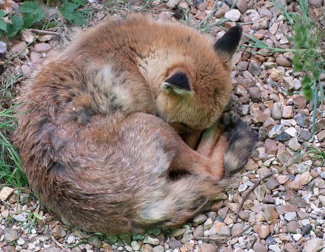 누르지마 누르지마 누르지마 누르지마 누르지마 누르지마_4.jpg