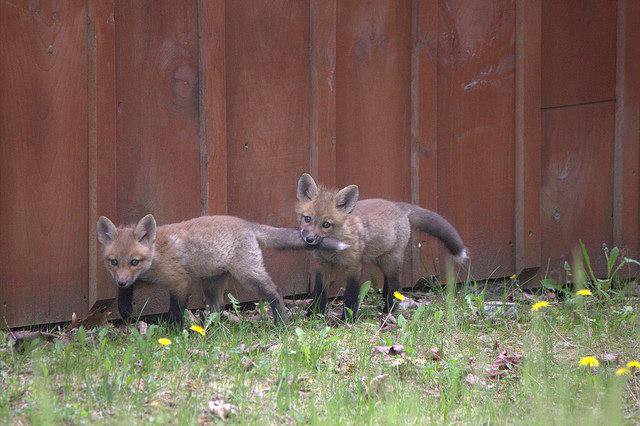 누르지마 누르지마 누르지마 누르지마 누르지마 누르지마_5.jpg