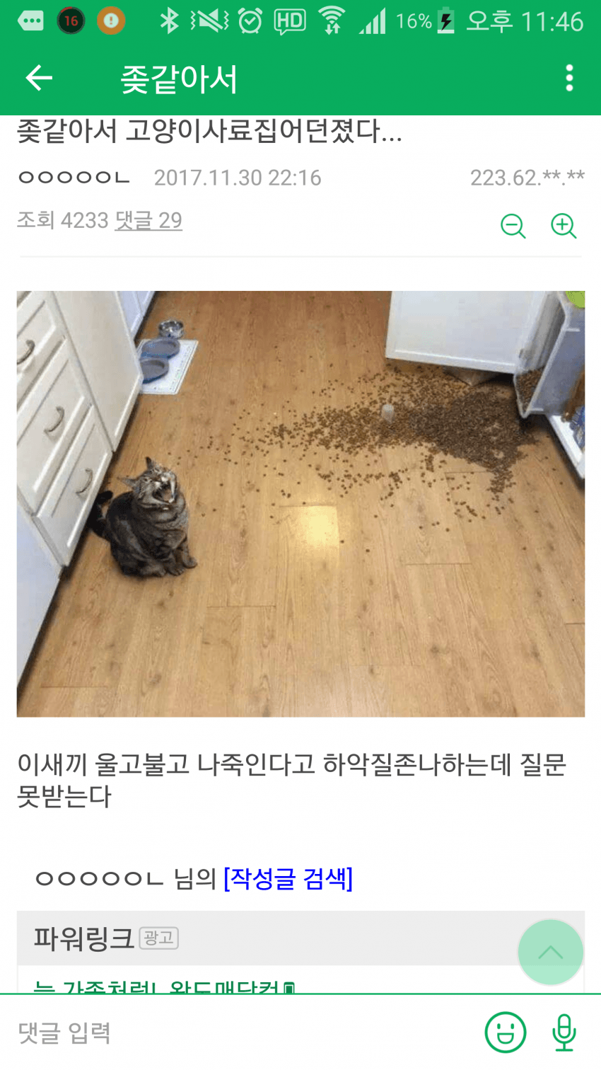 코인하다 빡쳐서 고양이 사료통 개발살냄