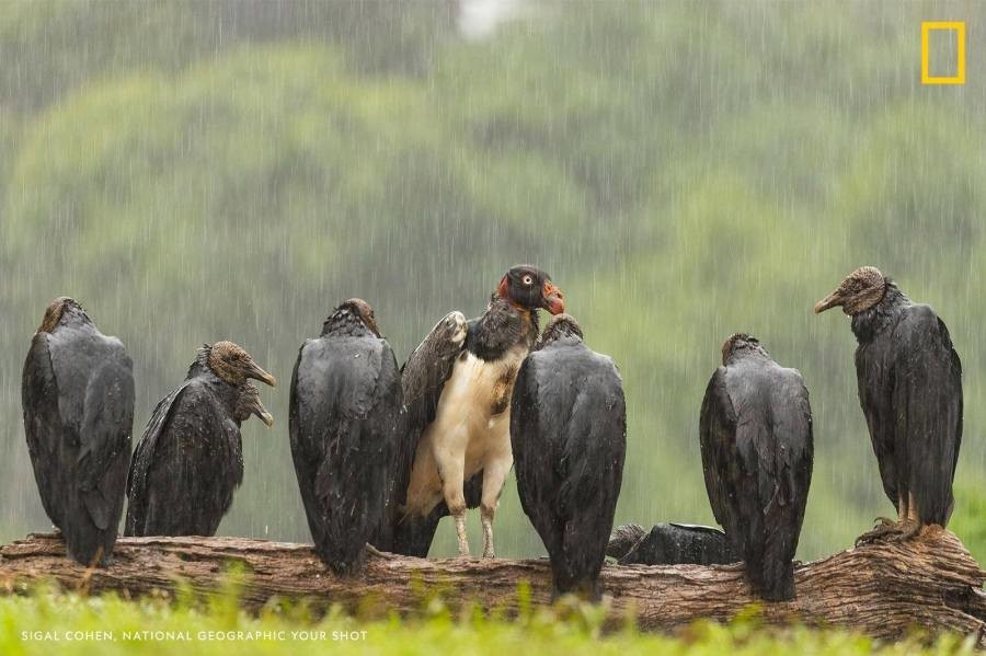 "본 교관은 여러분에게 실망했습니다"_1.jpg