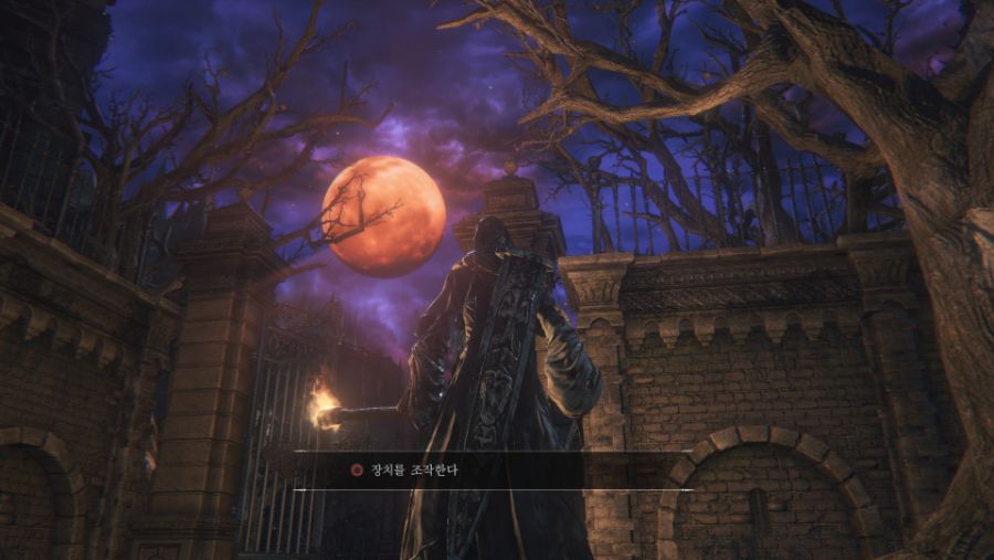 Bloodborne™_20200523180730.jpg